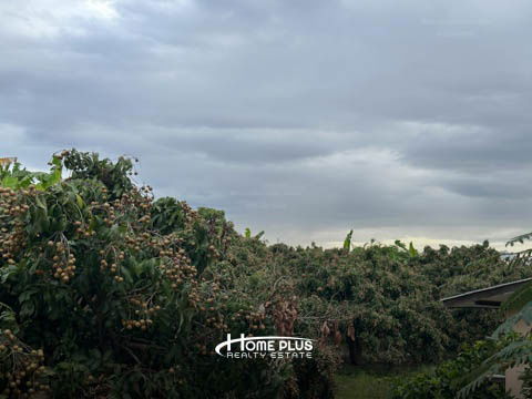 รูป 🌳 ขายที่ดินพร้อมสวนลำไย อำเภอดอยหล่อ จังหวัดเชียงใหม่ - รูปที่ 18/22