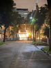 listing thumbnail image 42