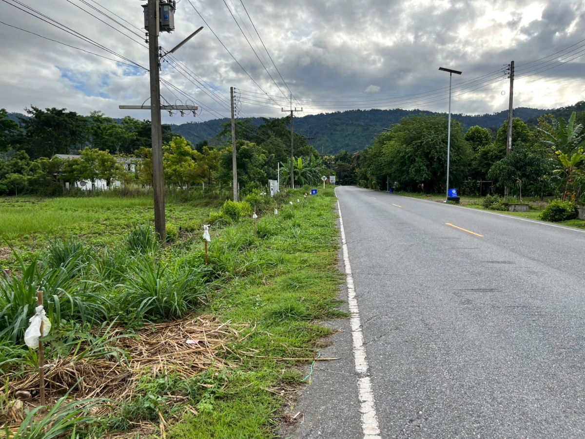 รูป ขายที่ดิน 2 ไร่ ติดถนนหลวง ตำบลเขาพระ หน้ากว้าง 50 เมตร วิวเขาชัด สวยบรรยากาศดี - รูปที่ 29/37