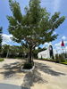 listing thumbnail image 6