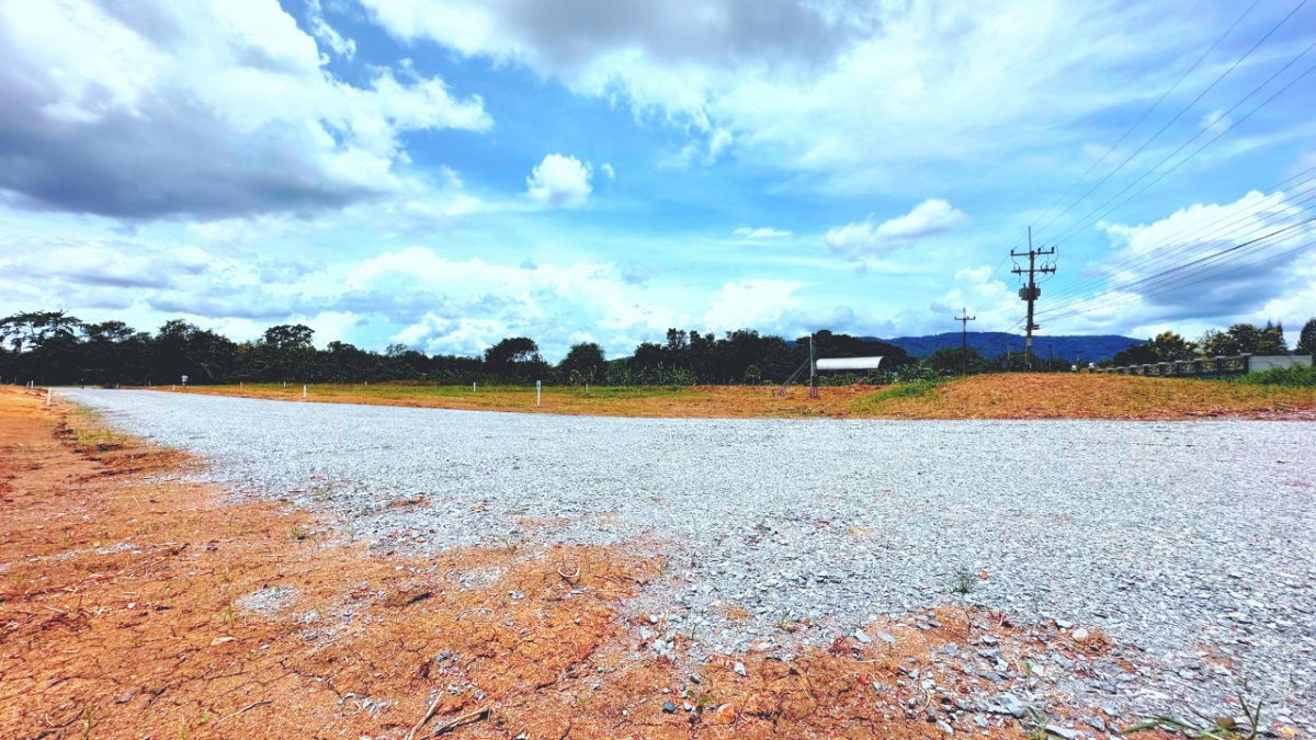 picture Land for sale in Moo Si, Pak Chong, Khao Yai, water, electricity, road ready, cheapest price, 350 sq m, only 4.2 million. - 8/13