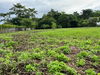 listing thumbnail image 35