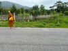 listing thumbnail image 25