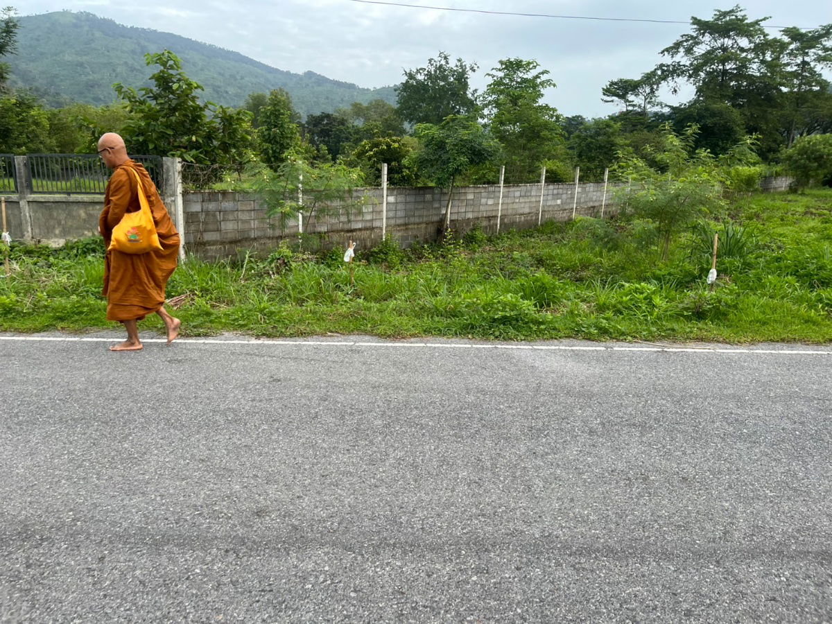 รูป ขายที่ดิน 2 ไร่ ติดถนนหลวง ตำบลเขาพระ หน้ากว้าง 50 เมตร วิวเขาชัด สวยบรรยากาศดี - รูปที่ 26/37