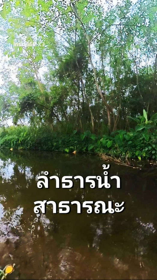 รูป ขายที่ดินหมูสี ปากช่อง เขาใหญ่ สูงกว่าระดับน้ำทะเล 375 เมตร ทำเลทองหล่อเขาใหญ่ ราคาดีมาก รีบจองก่อนหมด ใกล้ธนะรัชต์ - รูปที่ 7/10
