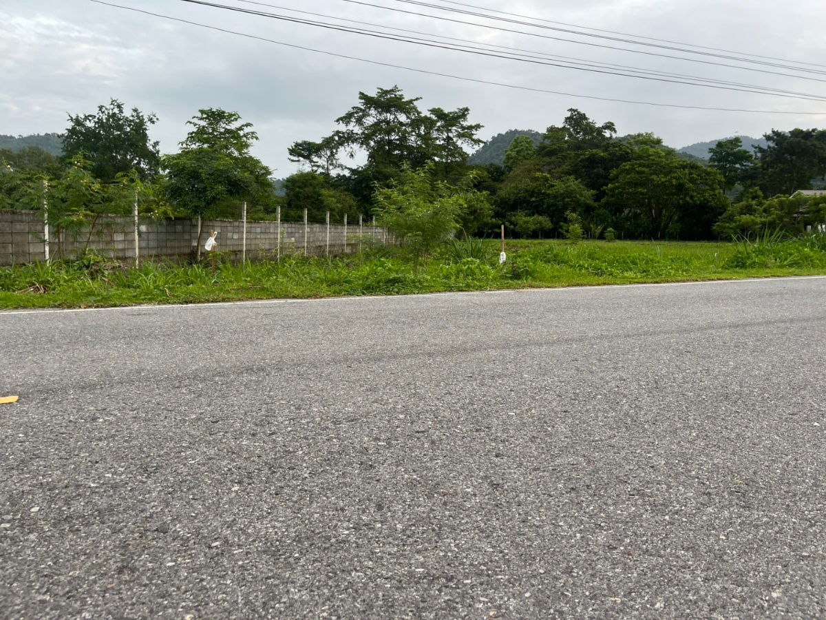 รูป ขายที่ดิน 2 ไร่ ติดถนนหลวง ตำบลเขาพระ หน้ากว้าง 50 เมตร วิวเขาชัด สวยบรรยากาศดี - รูปที่ 23/37