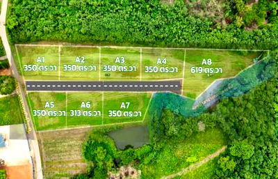Land for sale : land for sale in Moo Si, Pak Chong land, Khao Yai land, 3 ngan 50 sq m, 375 m