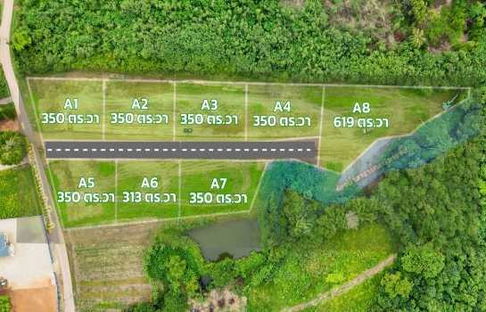 land for sale in Moo Si, Pak Chong land, Khao Yai land, 3 ngan 50 sq m, 375 m