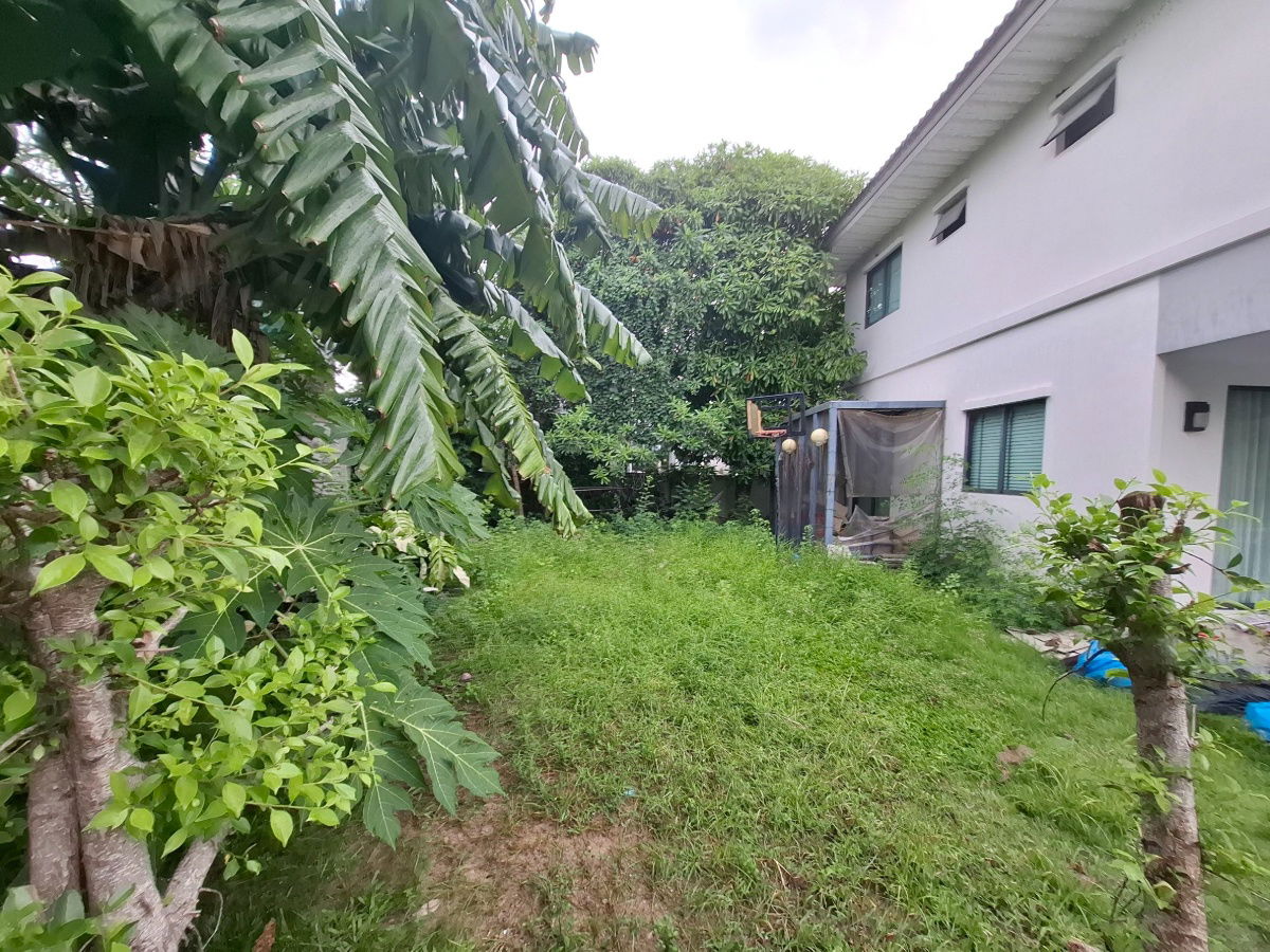 picture Modi Villa Chaiyaphruek Nonthaburi - 4/16