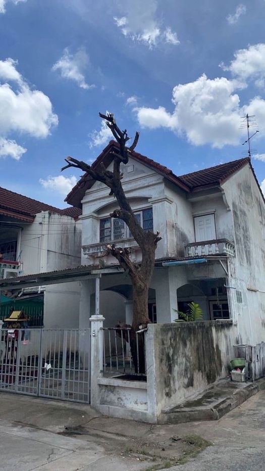รูป ขายบ้านเดี่ยวหลังมุม หมู่บ้านวรนุช เพชรเกษม 68 แยก 31 ทำเลดี เดินทางสะดวก ใกล้ MRT บางแค - รูปที่ 1/15