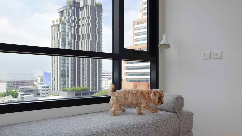 picture Condo for rent MARU Ekkamai near BTS Ekkamai 65,000 baht Property code: RS1526 - 20/20