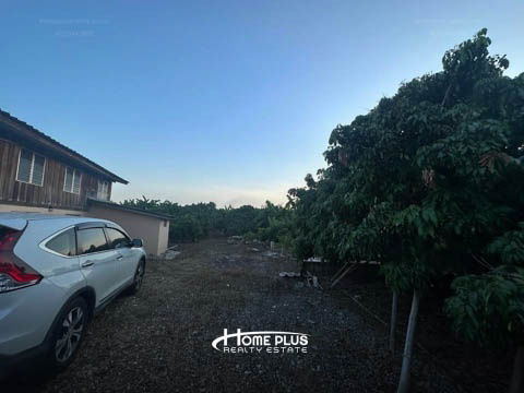 รูป 🌳 ขายที่ดินพร้อมสวนลำไย อำเภอดอยหล่อ จังหวัดเชียงใหม่ - รูปที่ 14/22