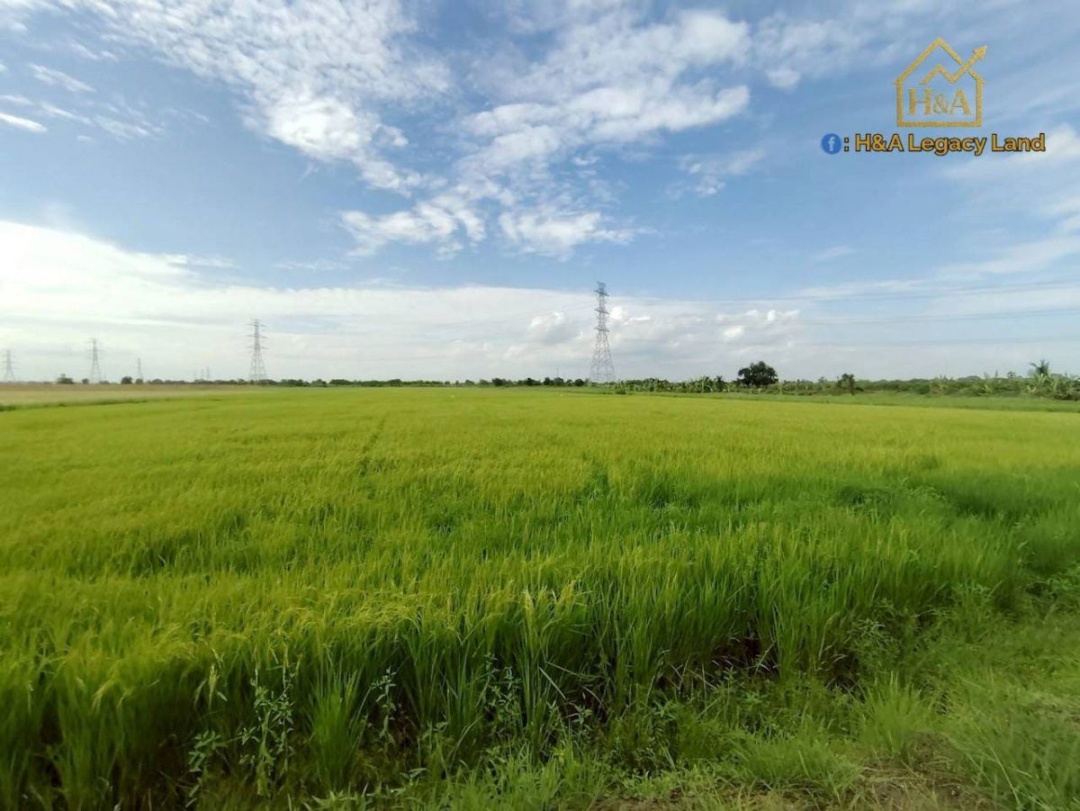 รูป ขายที่ดินเปล่าแปลงสวย ติดถนนใหญ่ อย.3006 ลาดบัวหลวง–ไม้ตรา อ.ลาดบัวหลวง จ.พระนครศรีอยุธยา 30-3-74 ไร่ - รูปที่ 5/9