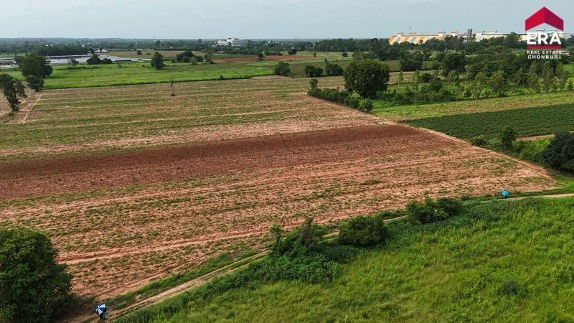 picture Urgent Sale Beautiful Land 10 Rai Prime Location Near Korat City - 4/4