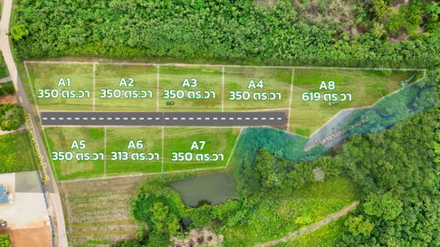 Land for sale in Moo Si, Pak Chong, Khao Yai, water, electricity, road ready, cheapest price, 350 sq m, only 4.2 million.