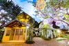 listing thumbnail image 5
