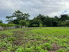 listing thumbnail image 33