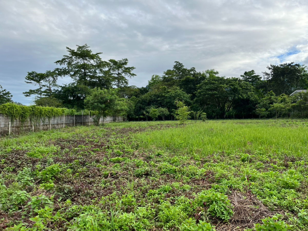 รูป ขายที่ดิน 2 ไร่ ติดถนนหลวง ตำบลเขาพระ หน้ากว้าง 50 เมตร วิวเขาชัด สวยบรรยากาศดี - รูปที่ 34/37