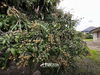 listing thumbnail image 20