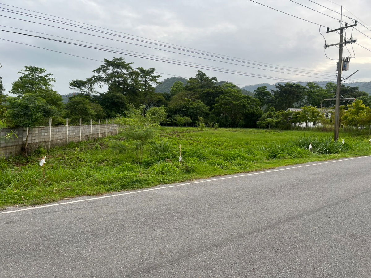 รูป ขายที่ดิน 2 ไร่ ติดถนนหลวง ตำบลเขาพระ หน้ากว้าง 50 เมตร วิวเขาชัด สวยบรรยากาศดี - รูปที่ 22/37