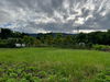 listing thumbnail image 32