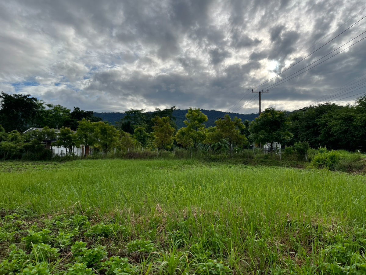 รูป ขายที่ดิน 2 ไร่ ติดถนนหลวง ตำบลเขาพระ หน้ากว้าง 50 เมตร วิวเขาชัด สวยบรรยากาศดี - รูปที่ 33/37
