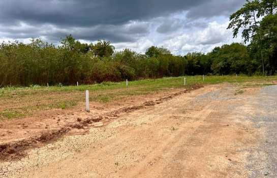 picture land for sale in Moo Si, Pak Chong land, Khao Yai land, 3 ngan 50 sq m, 375 m - 6/12