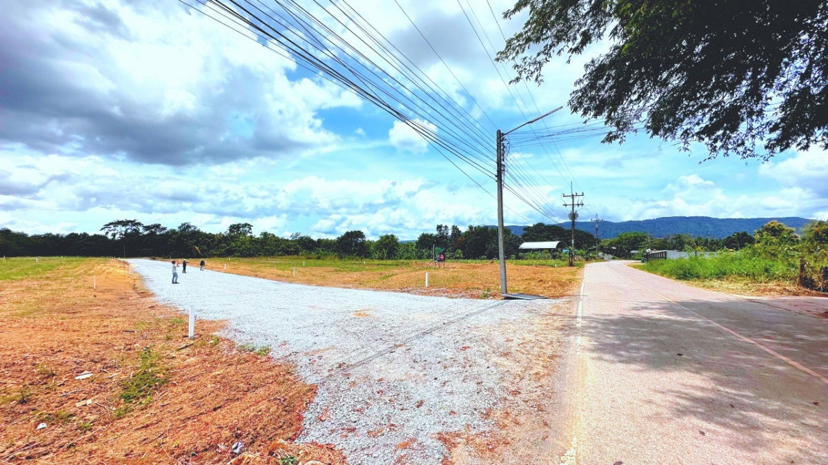 picture Land for sale in Moo Si, Pak Chong, Khao Yai, water, electricity, road ready, cheapest price, 350 sq m, only 4.2 million. - 9/13