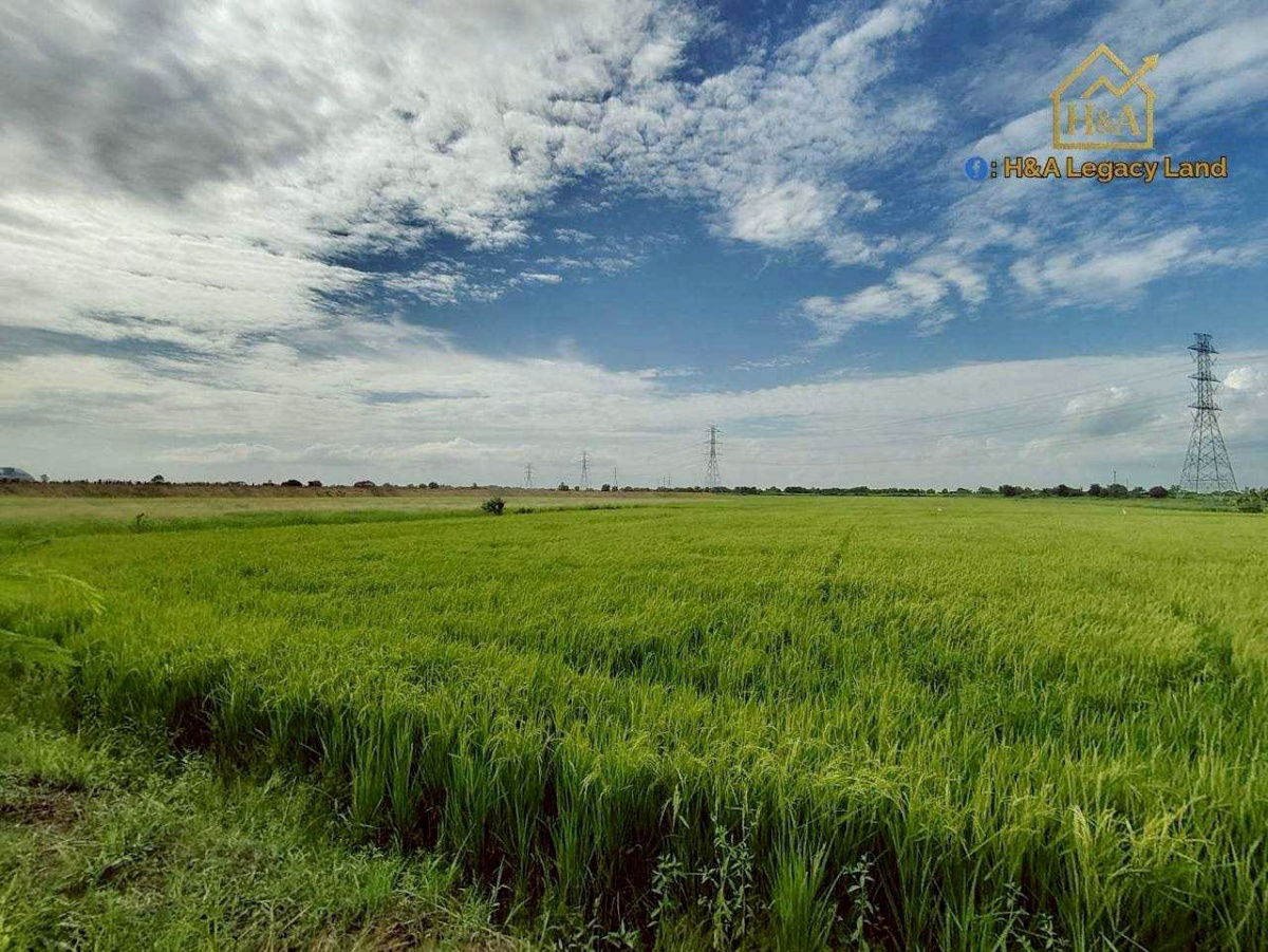รูป ขายที่ดินเปล่าแปลงสวย ติดถนนใหญ่ อย.3006 ลาดบัวหลวง–ไม้ตรา อ.ลาดบัวหลวง จ.พระนครศรีอยุธยา 30-3-74 ไร่ - รูปที่ 2/9