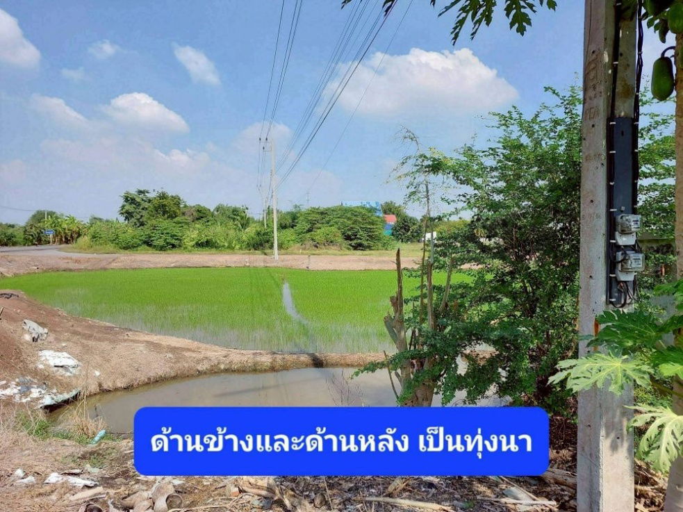 รูป ขายบ้านเดี่ยว 2 ชั้น ตามสภาพ เนื้อที่ 203 ตร.ว. บ้านหันหน้าทิศเหนือ ใกล้ตัวเมือง ใกล้วัดเจดีย์หอย ลาดบัวหลวง พระนครศรีอยุธยา - รูปที่ 13/15