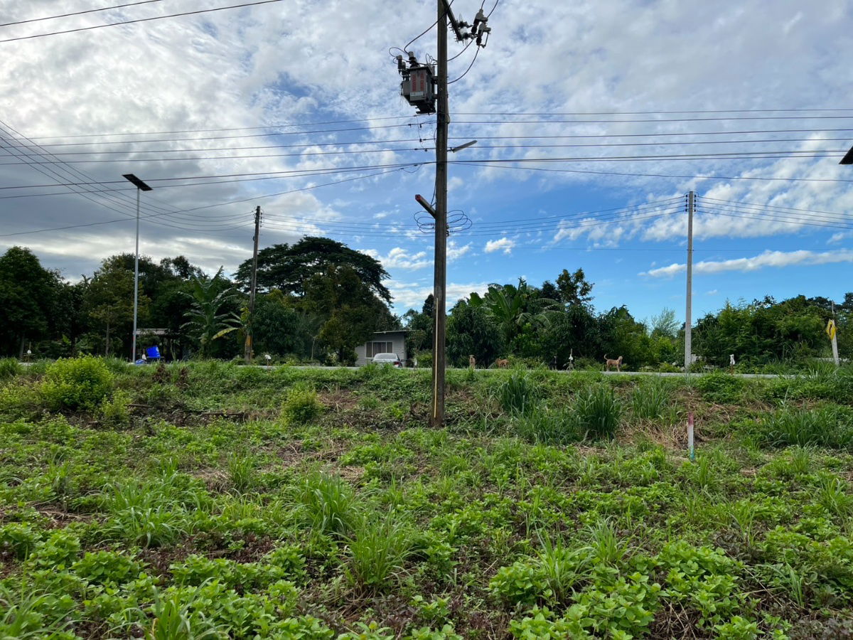 รูป ขายที่ดิน 2 ไร่ ติดถนนหลวง ตำบลเขาพระ หน้ากว้าง 50 เมตร วิวเขาชัด สวยบรรยากาศดี - รูปที่ 35/37