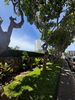 listing thumbnail image 12