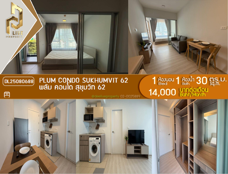 DL25080688 Condo for rent, Plum Condo Sukhumvit 62 near -, ready to move in, call urgently 0656133286 LineID @534wlwof