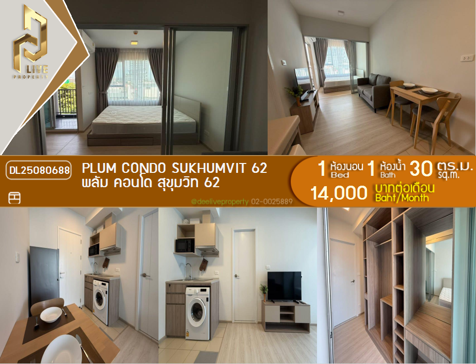 รูป DL25080688 ให้เช่าคอนโด พลัม คอนโด สุขุมวิท 62 (Plum Condo Sukhumvit 62) ใกล้ - พร้อมเข้าอยู่ โทรด่วน 0638692663 LineID @534wlwof - รูปที่ 1/12