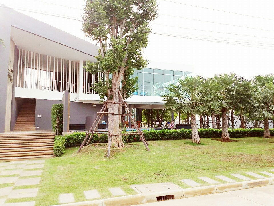 รูป ให้เช่าบ้านโครงการ Citysense Salaya 🏡 2 ชั้น 3 ห้องนอน 2 ห้องน้ำ ใกล้ม.มหิดล และราชมงคล – เข้าอยู่ได้ทันที เพียง 12,000 บ./เดือน - รูปที่ 15/15