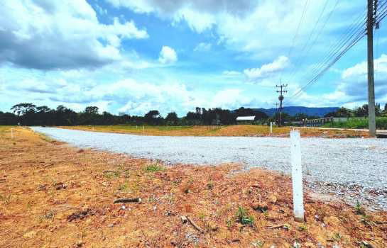 picture land for sale in Moo Si, Pak Chong land, Khao Yai land, 3 ngan 50 sq m, 375 m - 5/12