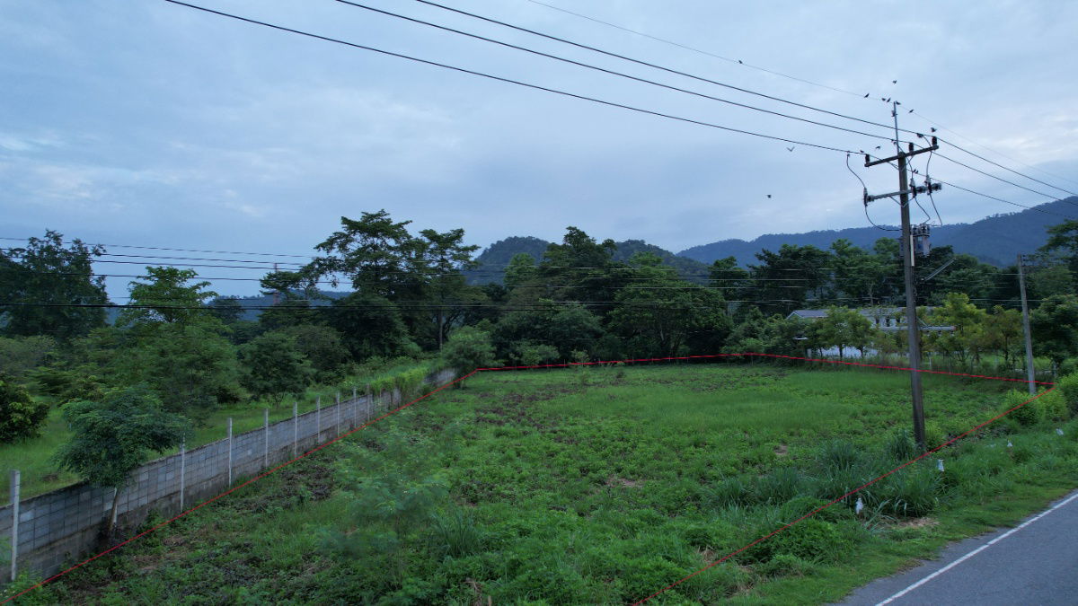 รูป ขายที่ดิน 2 ไร่ ติดถนนหลวง ตำบลเขาพระ หน้ากว้าง 50 เมตร วิวเขาชัด สวยบรรยากาศดี - รูปที่ 15/37