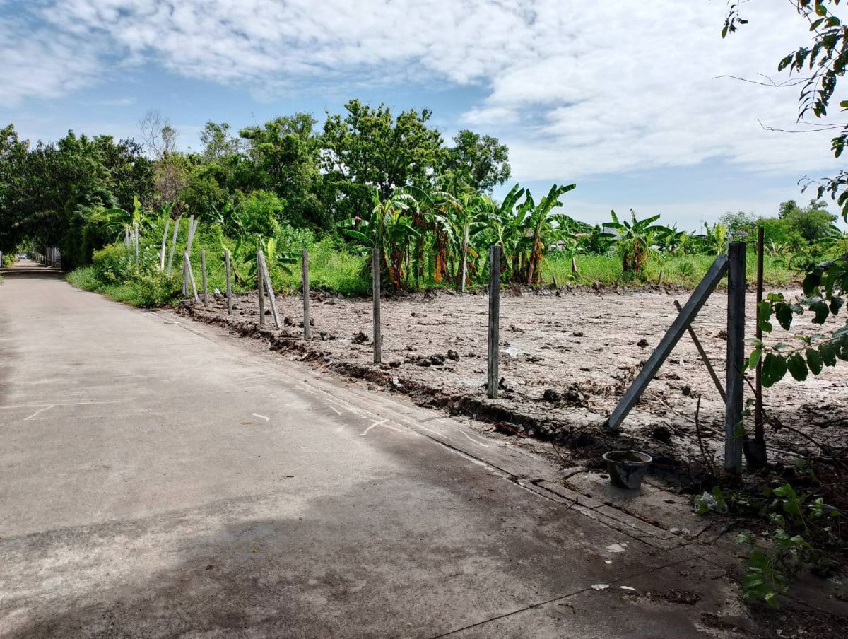 picture A 263-square-wah plot of land near the Pink Line MRT, Ramintra, Kilometre 4. The land has been filled. - 3/6