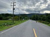 listing thumbnail image 27