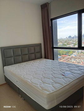 เช่าคอนโด The Tree Sukhumvit 71 - Ekamai/เดอะทรี สุขุมวิท 71-เอกมัย (B6808106) ID Line : @condo88