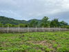 listing thumbnail image 31