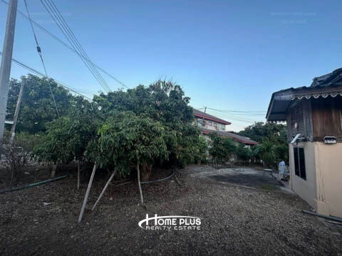 รูป 🌳 ขายที่ดินพร้อมสวนลำไย อำเภอดอยหล่อ จังหวัดเชียงใหม่ - รูปที่ 13/22