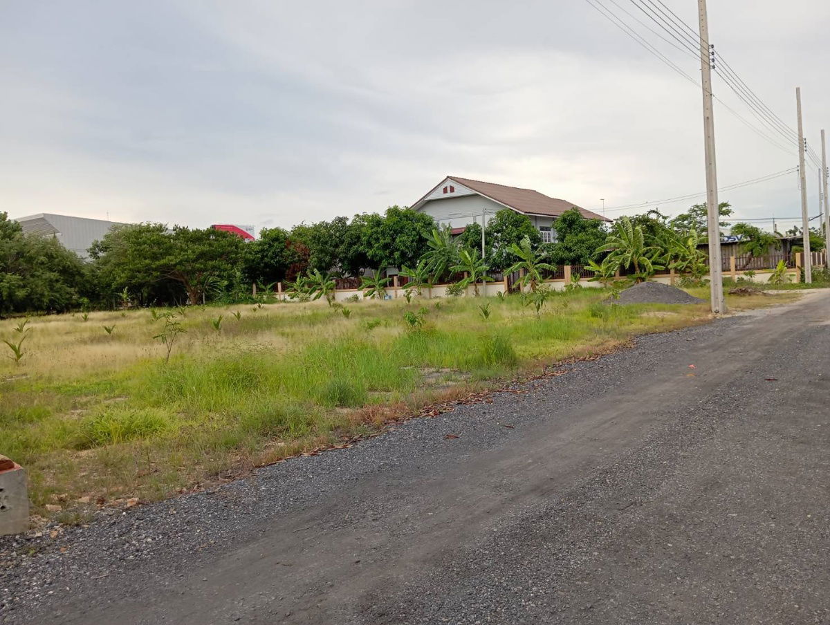 รูป ให้เช่าที่ดินเลียบคลองส่งน้ำสุวรรณภูมิ - รูปที่ 3/9