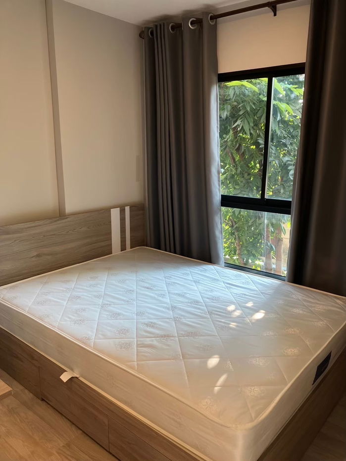 picture Condo For Rent!!!Plum Sukhumvit 97/1 - 8/8