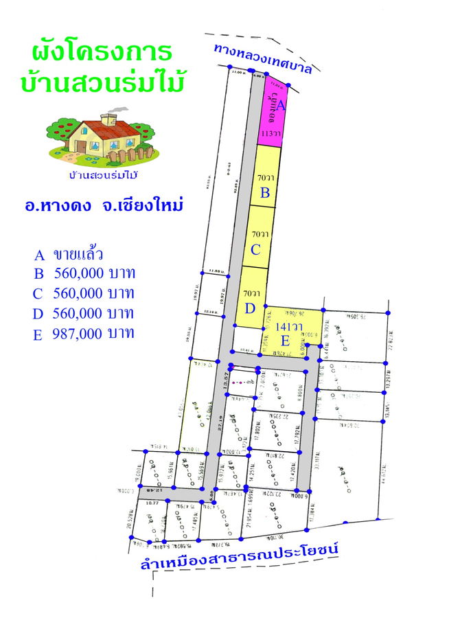 รูป ขายที่ดินสวยใน อ.หางดง เชียงใหม่  ราคาโดนใจ - รูปที่ 2/11