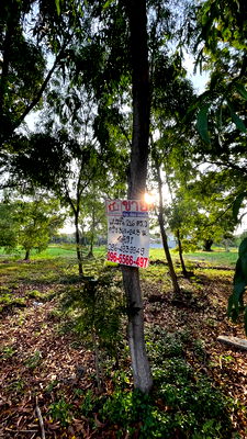 ที่ดิน เขตคลองสามวา : ขายที่ดินเปล่าเขตคลองสามวา โครงการ Forest Park