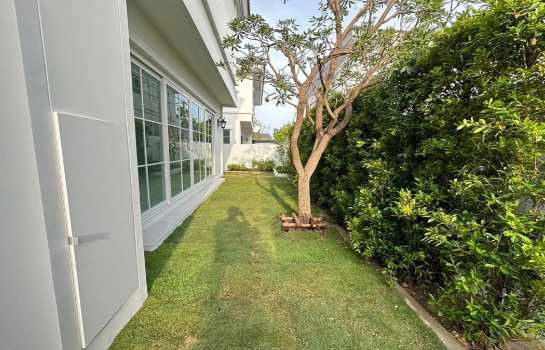 picture Single house for rent, Baan Chaiyapruek, Bangna, Km.15, 184 sq m, 61.5 sq wa - 5/6