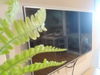 listing thumbnail image 27