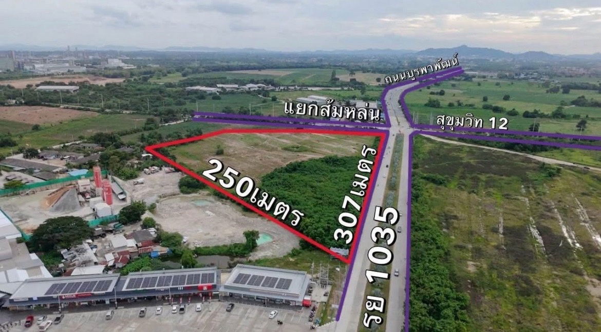 รูป ขายที่ดินผังม่วงลาย อ.เมืองระยอง จ.ระยอง ติดถนนหลัก - รูปที่ 6/7