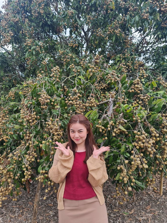 รูป ขายที่ดินสวยใน อ.หางดง เชียงใหม่  ราคาโดนใจ - รูปที่ 5/11
